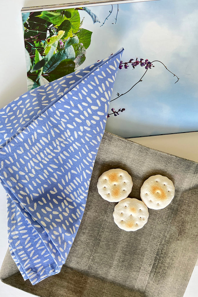 A blue and white set of 4 See Design napkins with hand painted designs on a tray with crackers and a book.